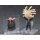 Good Smile Company Nendoroid Alien 图片 6