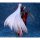 Alter Fate/Grand Order Moon Cancer/BB Nangoku Komugiiro Ver. 1/8 Complete Figure image 8