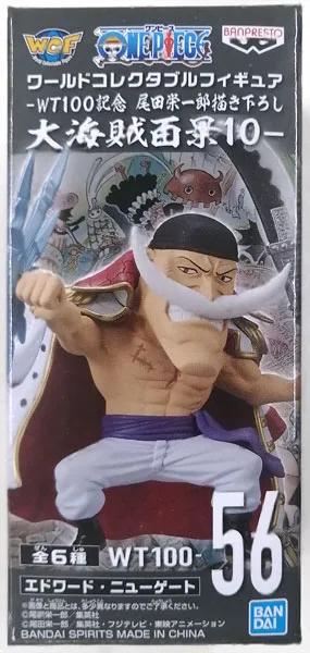 BANDAI SPIRITS ONE PIECE World Collectable Figure -WT100 Anniversary Eiichiro Oda New Illustration 100 Famous Views and Pirates 10- Edward Newgate (Game-prize) Bild 1