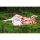 BeBOX Sword Art Online Asuna - Day Off in Aincrad 1/7 Complete Figure 图片 10