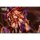 Astrum Design Halloween Succubus 1/7 Complete Figure Deluxe Edition Bild 13