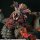 Capcom Monster Hunter Capcom Figure Builder Creator's Model Flame King Dragon Teostra Reproduction Edition image 4