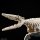 BANDAI SPIRITS Plannosaurus Mosasaurus Plastic Model Bild 13