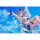Good Smile Company 홀로라이브 프로덕션 시로가네 노엘 수영복 Ver. 1/7 완성품 피규어 이미지 9