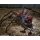 Neca THE THING The Thing / Dog-Thing Deluxe Ultimate 7 Inch Action Figure 圖片 12