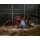 Neca THE THING The Thing / Dog-Thing Deluxe Ultimate 7 Inch Action Figure 圖片 15