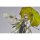 Good Smile Arts Shanghai Arknights Muelsyse Elite 2 1/7 Complete Figure image 7