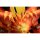 HobbyJAPAN AMAKUNI KIZIN The King of Kings Genesic GaoGaiGar image 4