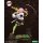 Kotobukiya ARTFX J Demon Slayer: Kimetsu no Yaiba Mitsuri Kanroji 1/8 Complete Figure image 6