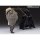 BANDAI SPIRITS S.H.Figuarts Darth Maul (STAR WARS: The Phantom Menace) 圖片 9