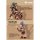Animester Ji Le Xi Hang Tian Peng 1/9 Seamless Action Figure gambar 12