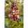 Animester Ji Le Xi Hang Tian Peng 1/9 Seamless Action Figure gambar 15