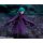 BANDAI SPIRITS S.H.Figuarts Schierke "Berserk" รูปภาพ 9