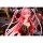 APEX Azur Lane Prinz Rupprecht The Gate Dragon's Advent Ver. 1/7 Complete Figure imagen 11