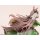 Kotobukiya [Bonus] Umamusume Pretty Derby [The Will to Overtake] Satono Diamond 1/7 Complete Figure (Kotobukiya Shop, CyStore, etc Exclusive) gambar 16