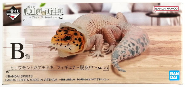 BANDAI SPIRITS Ichiban Kuji Reptilia & Amphibia -Tiny Friends- B Prize - Eublepharis Macularius Figure -Shedding- (Game-prize)