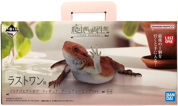 BANDAI SPIRITS 이치바쿠지 Reptilia & Amphibia -Tiny Friends- 라스트원상 - 센트럴 비어디드 드래곤 피규어 팔 흔드는 ver. (게임상품)