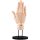 Kotobukiya ARTIST SUPPORT ITEM Takahiro Kagami HAND MODEL/R -PALE ORANGE- Action Figure รูปภาพ 13
