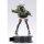 APEX [Bonus] Zenless Zone Zero Anby Demara 1/7 Komplettfigur Bild 3
