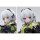 APEX [Bonus] Zenless Zone Zero Anby Demara 1/7 Komplettfigur Bild 6