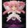 Good Smile Company Nendoroid Puella Magi Madoka Magica Ultimate Madoka รูปภาพ 6