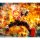 BANDAI SPIRITS S.H.Figuarts Katsuki Bakugo "My Hero Academia" Bild 11