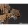 BANDAI SPIRITS S.H.Figuarts Chewbacca -Classic Ver.- (STAR WARS: A New Hope) hình ảnh 8