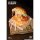 WE ART DOING [Bonus] Burger Fairies - Yellow Deluxe Edition Complete Figure gambar 10