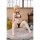 spiritale My Dress-Up Darling 1/6 Scale Figure - Marin Kitagawa (Swimwear Ver.) image 4