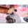 freyja [Bonus] Cat's Thought Maid Cat Mochan 1/4 Complete Figure รูปภาพ 12