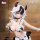 FANCAM Milk Girls Black and White Ver. 1/6 Complete Figure image 13