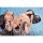 APEX [Bonus] Azur Lane Anchorage Dolphins and Swim Lessons Ver. Figurine Complète 1/7 image 16