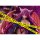 AliceGlint Monmusu Quest! Paradox RPG "Alma Elma illustration by Coolkyousinnjya" 1/7 Complete Figure gambar 9