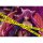 AliceGlint [Limited Edition] Monmusu Quest! Paradox RPG "Alma Elma illustration by Coolkyousinnjya" Figure image 15