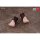 Snail Shell RPG-01SP Succubus Lustia Phase Two Optional Foot Part Set 1/12 Complete Model Optional Parts รูปภาพ 14
