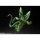 BANDAI SPIRITS S.H.Figuarts Cell First Form (Rerelease Edition) "Dragon Ball Z" 图片 4