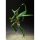 BANDAI SPIRITS S.H.Figuarts Cell First Form (Rerelease Edition) "Dragon Ball Z" 图片 7