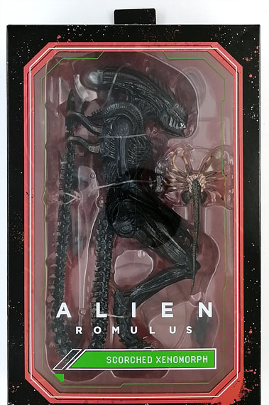 Neca Alien: Romulus / Scorched Xenomorph Ultimate 7 Inch Action Figure