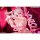 Hobby sakura Cane Bunny Girl illustration by Tuzhate 1/7 Complete Figure Deluxe Edition image 16