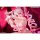 Hobby sakura Cane Bunny Girl illustration by Tuzhate 1/7 Complete Figure image 16