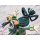 Takara Tomy My Hero Academia Tsuyu Asui Two Dimensioning Ver. 1/8 Complete Figure gambar 16