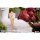 LADo TOYS POCKET GIRL PG-01 Swimsuit Girl Posable Figure Bild 12