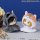 MegaHouse LookUp Poncho Haikyuu!! Kenma Cat gambar 3