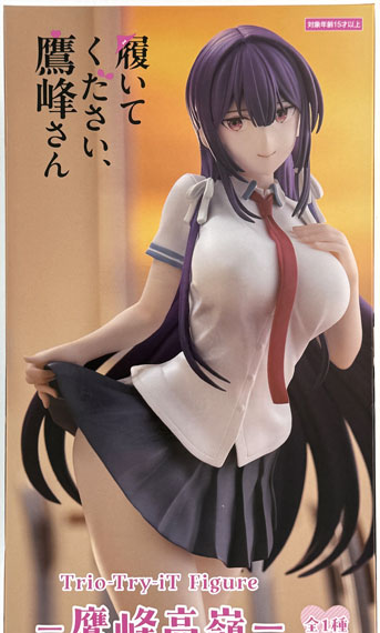 FURYU Please Put Them On, Takamine-san Trio-Try-iT Figure -Takane Takamine- Bild 1