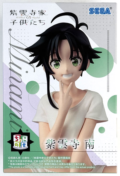 SEGA TV Anime "The Shiunji Family Children" Chokonose Premium Figure "Minami Shiunji" (Game-prize)
