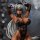 KAWA DESIGN [Bonus] Gilnada Illustration von Ulrich 1/6 Komplettfigur Deluxe Edition Bild 6