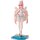 Solarain [โบนัส] Rosuuri Original Character White Rabbit Rosu: Swimsuit Ver. 1/7 Complete Figure รูปภาพ 2