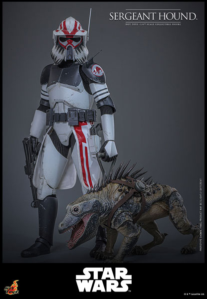Hot Toys TV Masterpiece "Star Wars: The Clone Wars" 1/6 Scale Figure Sergeant Hound