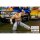 Storm Collectibles Storm Arena The King of Fighters '98 Ultimate Match Goro Daimon hình ảnh 13