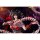 MoWanKeJi Studio The Legend of Qin Chilian 1/4 Complete Figure Bild 3